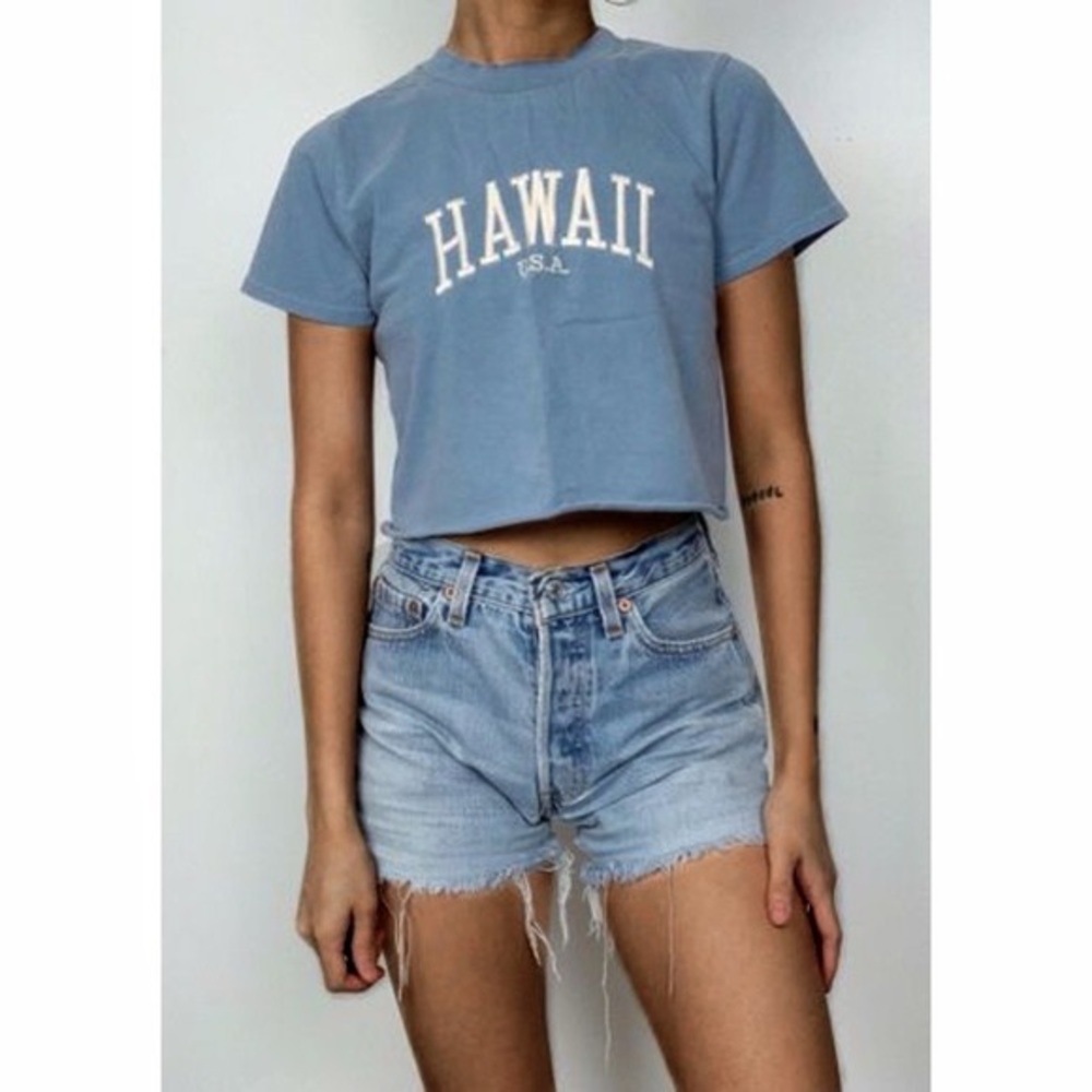 Blue brandy Melville top